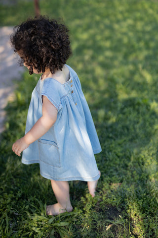 1 + In The Family Denim Carlotta Dress