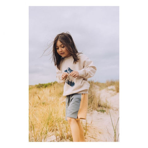 SOFT GALLERY HUDSON GREY/BLUE SHORTS